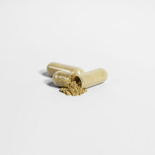 Premium Moringa Pure Nutrient-Rich Superfood For Energy Wellness - Image 3